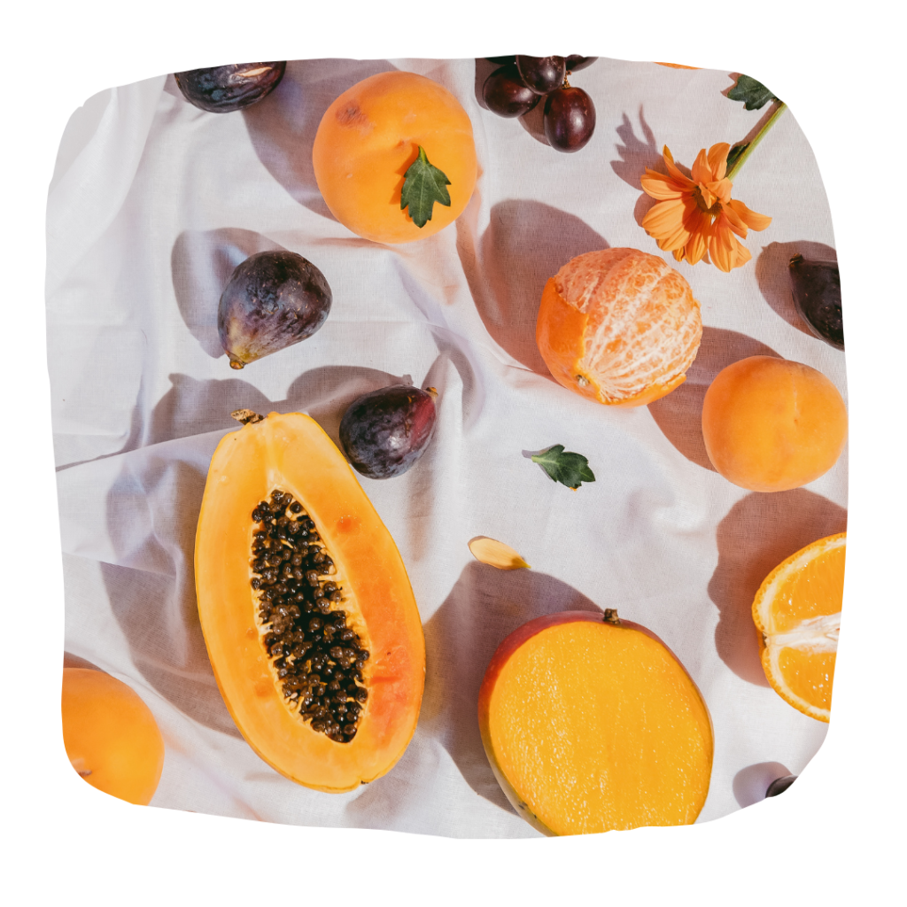 nutrition sportive